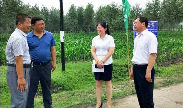 EMC易倍(中国)有限公司官网