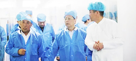 EMC易倍(中国)有限公司官网