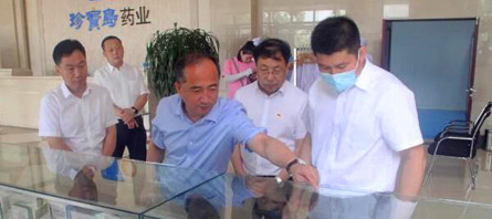 EMC易倍(中国)有限公司官网