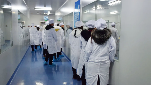 EMC易倍(中国)有限公司官网