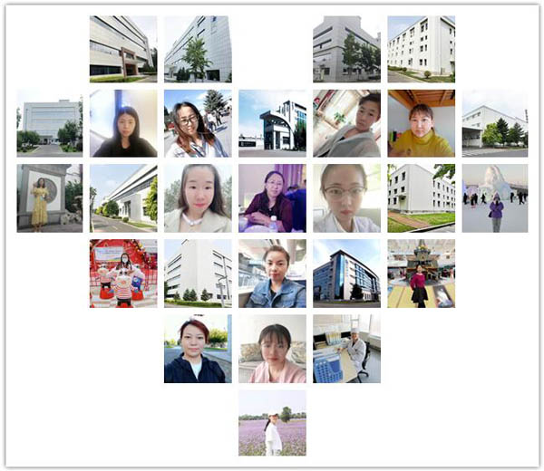 EMC易倍(中国)有限公司官网