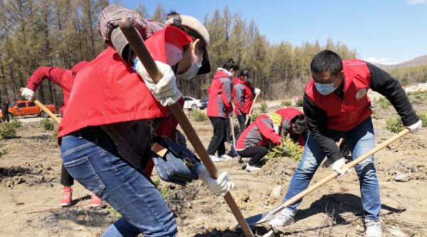 EMC易倍(中国)有限公司官网