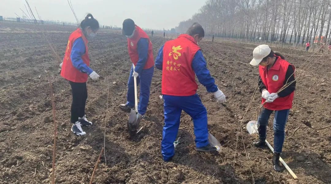 EMC易倍(中国)有限公司官网