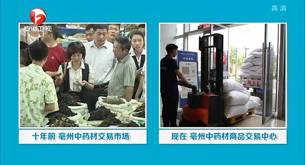 EMC易倍(中国)有限公司官网