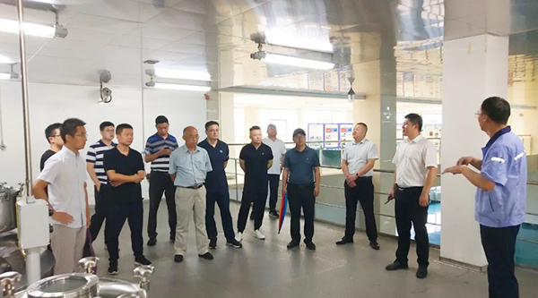 EMC易倍(中国)有限公司官网