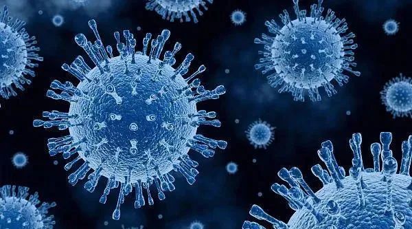 EMC易倍(中国)有限公司官网