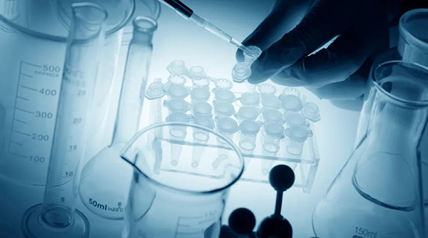 EMC易倍(中国)有限公司官网