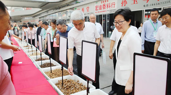 EMC易倍(中国)有限公司官网