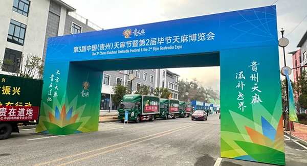 EMC易倍(中国)有限公司官网