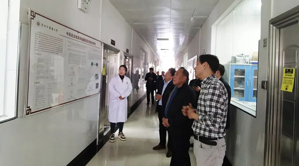 EMC易倍(中国)有限公司官网