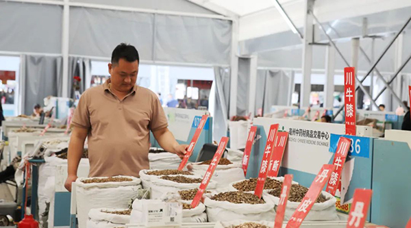 EMC易倍(中国)有限公司官网