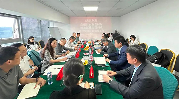 EMC易倍(中国)有限公司官网