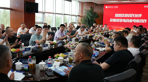 EMC易倍(中国)有限公司官网