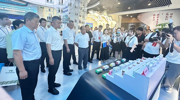 EMC易倍(中国)有限公司官网