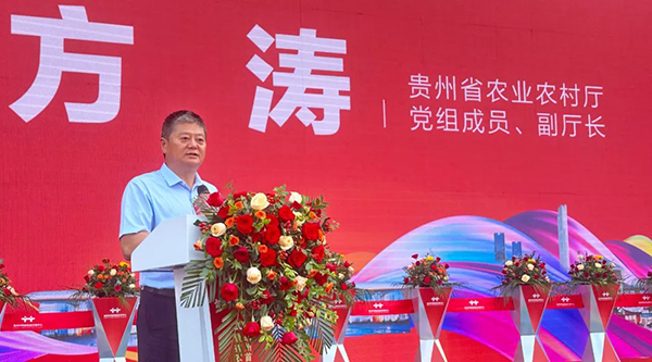 EMC易倍(中国)有限公司官网