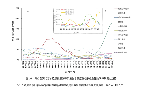 EMC易倍(中国)有限公司官网