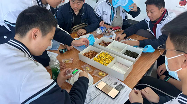 EMC易倍(中国)有限公司官网