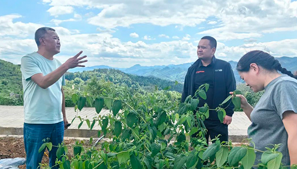 EMC易倍(中国)有限公司官网