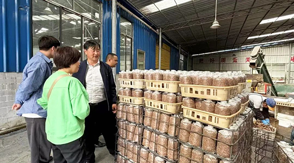 EMC易倍(中国)有限公司官网