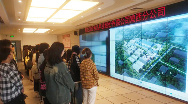 EMC易倍(中国)有限公司官网