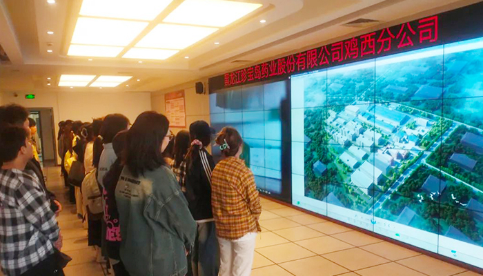 EMC易倍(中国)有限公司官网