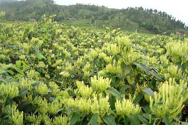 EMC易倍(中国)有限公司官网