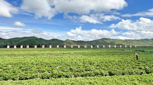 EMC易倍(中国)有限公司官网